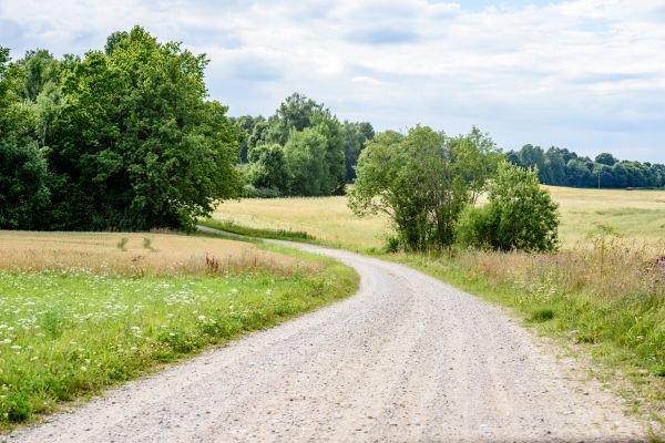 Stone Driveway Repair in Olathe
