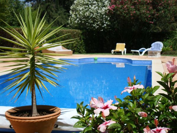 Pool Terrace Renovation in Olathe